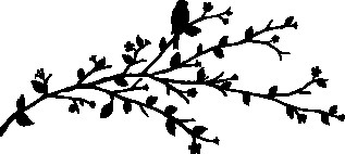 Иллюстрация к книге — Песня вечных дождей [i_003.jpg]