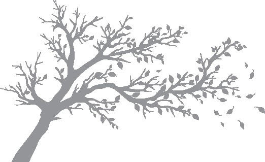 Иллюстрация к книге — Песня вечных дождей [i_005.jpg]