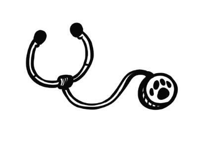 Иллюстрация к книге — О чем пьют ветеринары. Нескучные рассказы о людях, животных и сложной профессии [i_019.jpg]