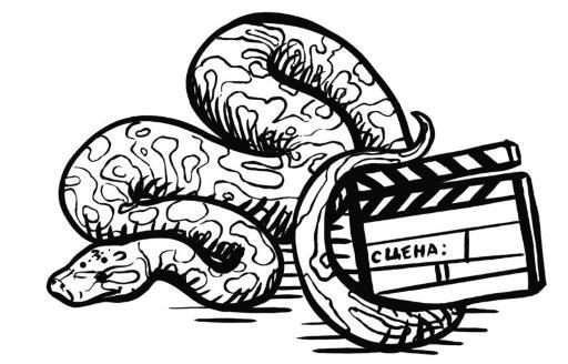 Иллюстрация к книге — О чем пьют ветеринары. Нескучные рассказы о людях, животных и сложной профессии [i_022.jpg]