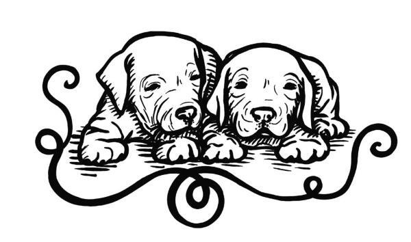 Иллюстрация к книге — О чем пьют ветеринары. Нескучные рассказы о людях, животных и сложной профессии [i_032.jpg]