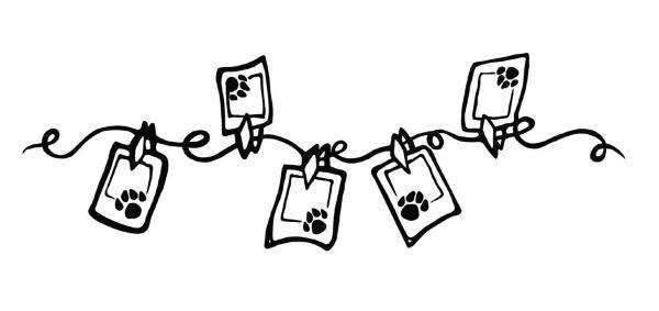 Иллюстрация к книге — О чем пьют ветеринары. Нескучные рассказы о людях, животных и сложной профессии [i_035.jpg]