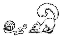 Иллюстрация к книге — О чем пьют ветеринары. Нескучные рассказы о людях, животных и сложной профессии [i_074.jpg]