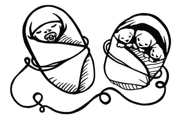 Иллюстрация к книге — О чем пьют ветеринары. Нескучные рассказы о людях, животных и сложной профессии [i_080.jpg]