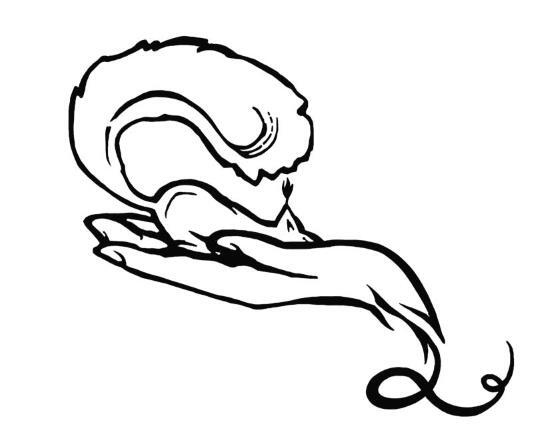 Иллюстрация к книге — О чем пьют ветеринары. Нескучные рассказы о людях, животных и сложной профессии [i_104.jpg]