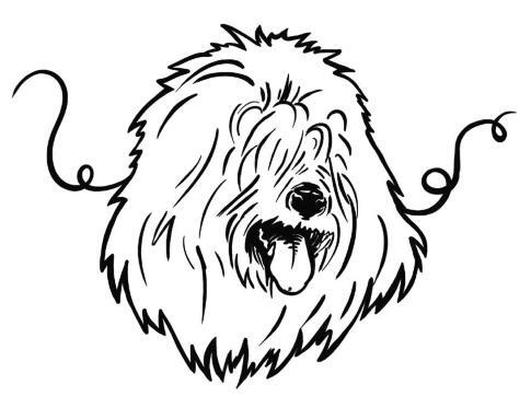 Иллюстрация к книге — О чем пьют ветеринары. Нескучные рассказы о людях, животных и сложной профессии [i_107.jpg]