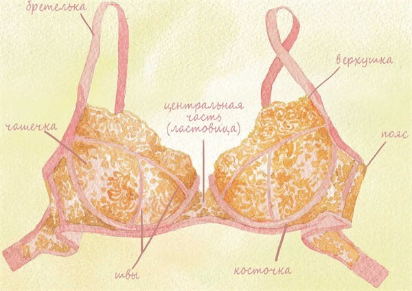 Иллюстрация к книге — Важная деталь. Как выбирать, носить и любить нижнее белье [i_004.jpg]