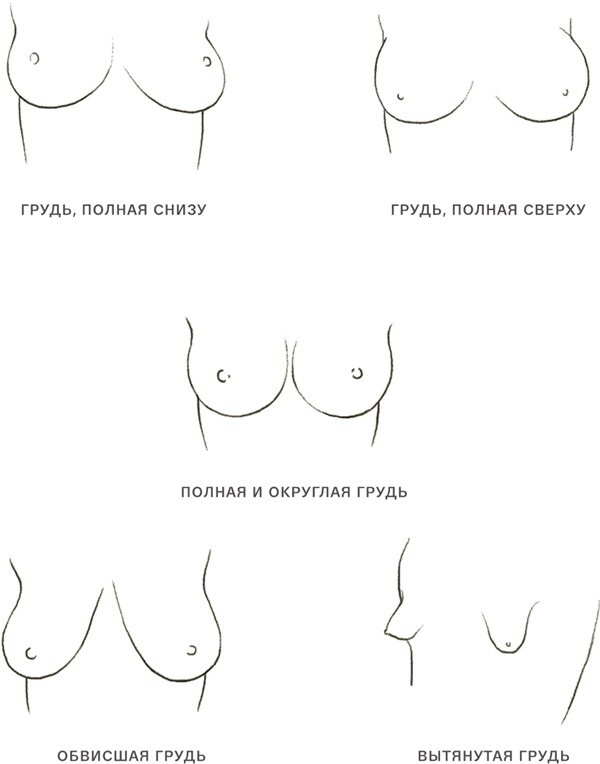 Иллюстрация к книге — Важная деталь. Как выбирать, носить и любить нижнее белье [i_005.jpg]