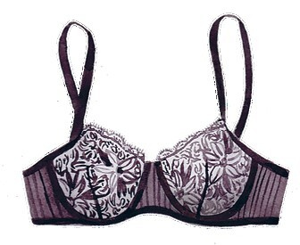 Иллюстрация к книге — Важная деталь. Как выбирать, носить и любить нижнее белье [i_012.jpg]