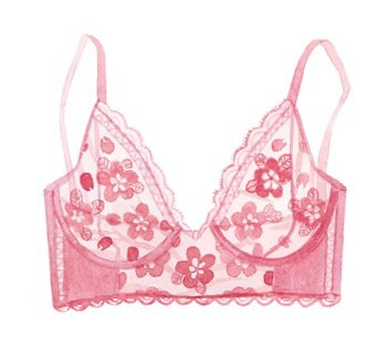 Иллюстрация к книге — Важная деталь. Как выбирать, носить и любить нижнее белье [i_016.jpg]