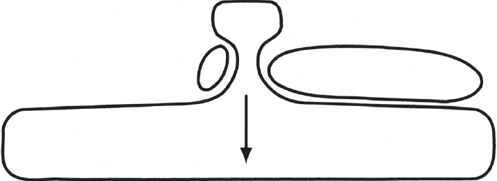 Иллюстрация к книге — Менеджмент: Природа и структура организаций [i_011.jpg]