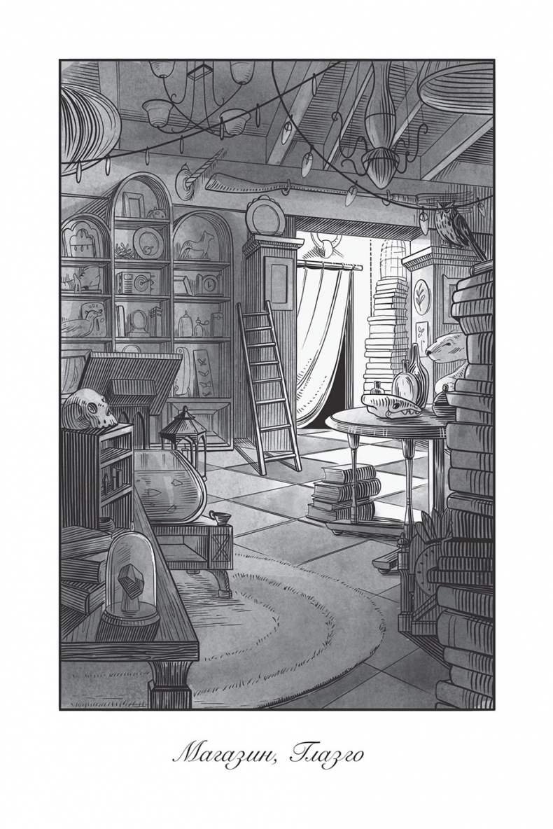 Иллюстрация к книге — Магазин из Ниоткуда [i_003.jpg]