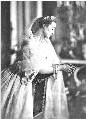 Иллюстрация к книге — Потерянный кронпринц Франции. Борьба за власть и тайна наследника Наполеона III [i_020.jpg]