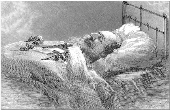 Иллюстрация к книге — Потерянный кронпринц Франции. Борьба за власть и тайна наследника Наполеона III [i_047.jpg]