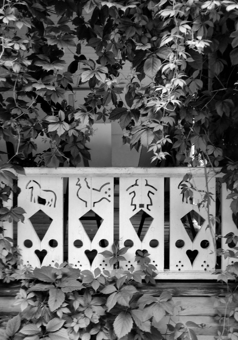 Иллюстрация к книге — Три дочери Льва Толстого [i_001.jpg]