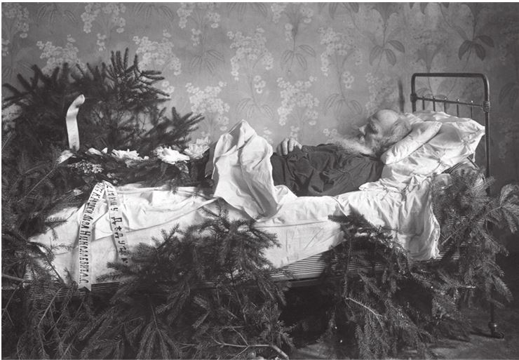 Иллюстрация к книге — Три дочери Льва Толстого [i_079.jpg]