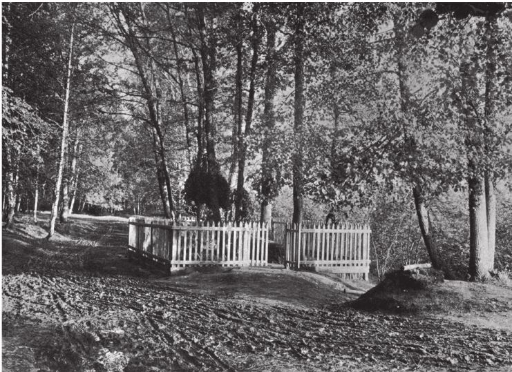 Иллюстрация к книге — Три дочери Льва Толстого [i_080.jpg]