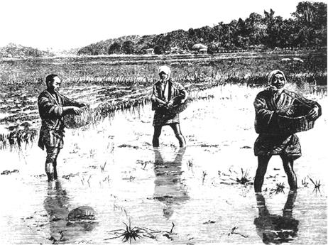 Иллюстрация к книге — Сёгуны Токугава. Династия в лицах [i_047.jpg]