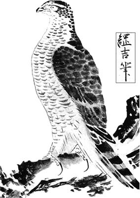 Иллюстрация к книге — Сёгуны Токугава. Династия в лицах [i_070.jpg]