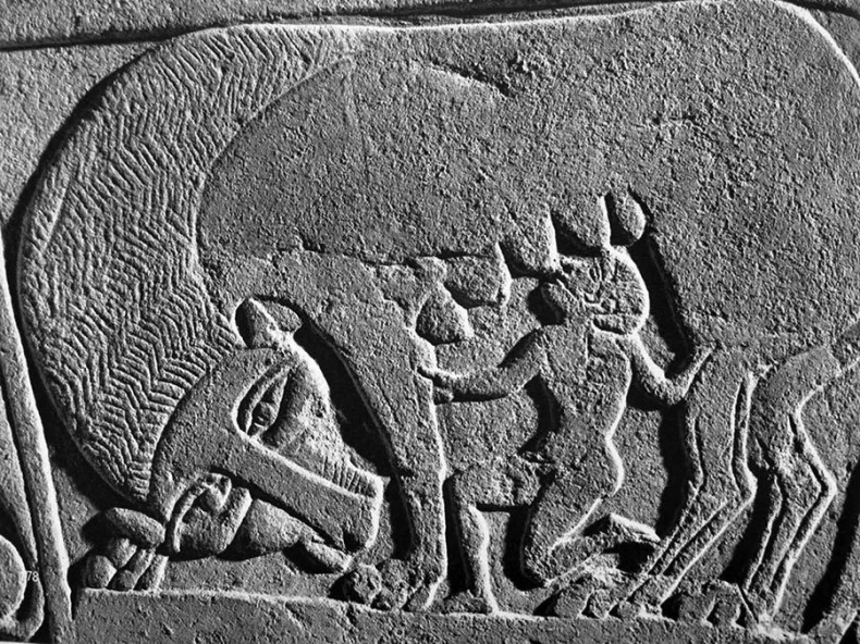 Иллюстрация к книге — Древний мир. Полная история [i_059.jpg]