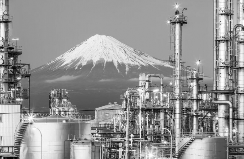 Иллюстрация к книге — Япония. Полная история страны [i_145.jpg]