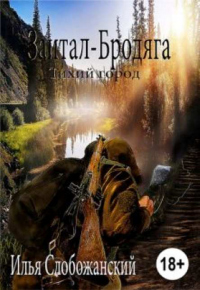 Книга Зайтан-Бродяга. Тихий город