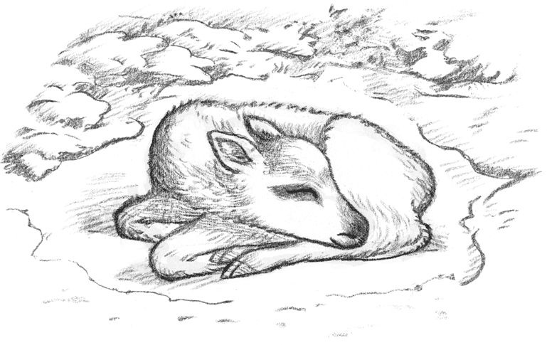 Иллюстрация к книге — Рождественские истории. Волшебная фигурка [i_019.jpg]