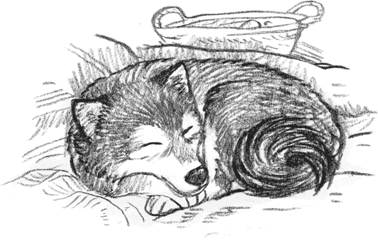 Иллюстрация к книге — Рождественские истории. Волшебная фигурка [i_029.jpg]