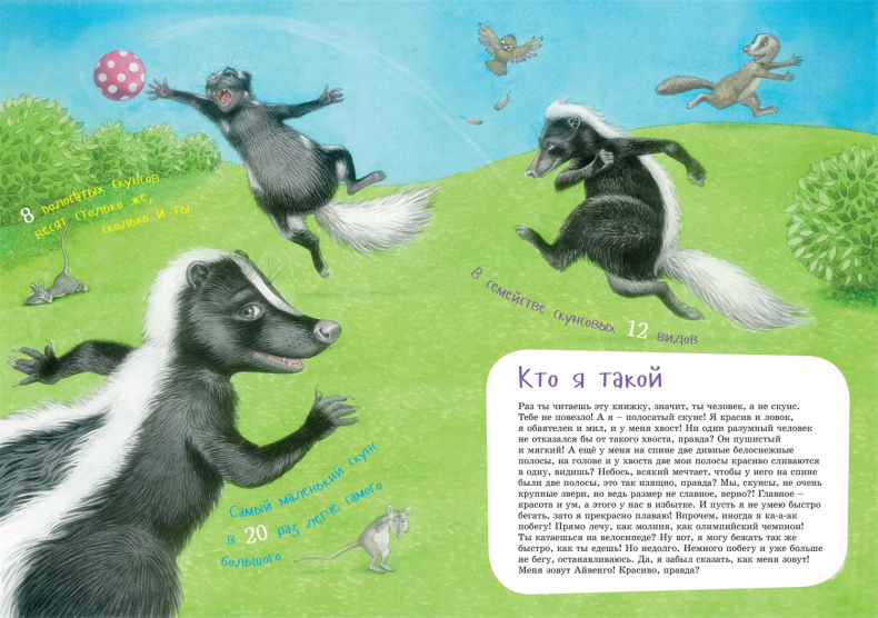 Иллюстрация к книге — Я скунс [i_002.jpg]