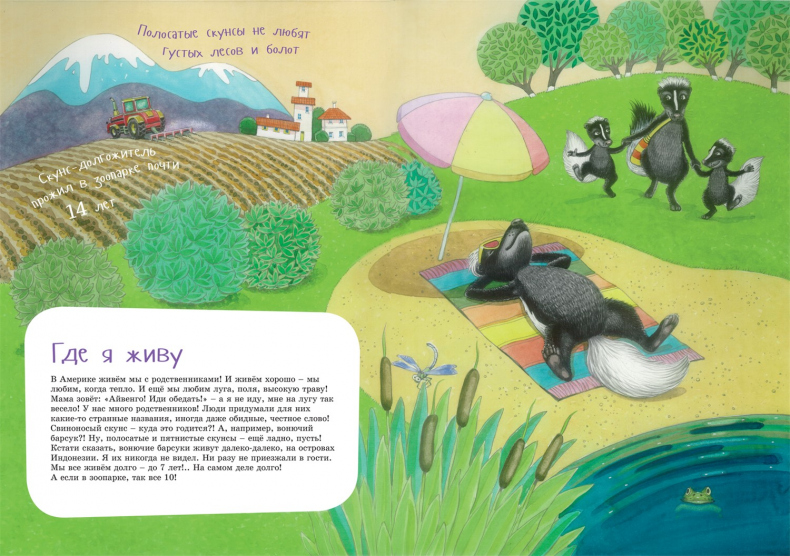 Иллюстрация к книге — Я скунс [i_003.jpg]