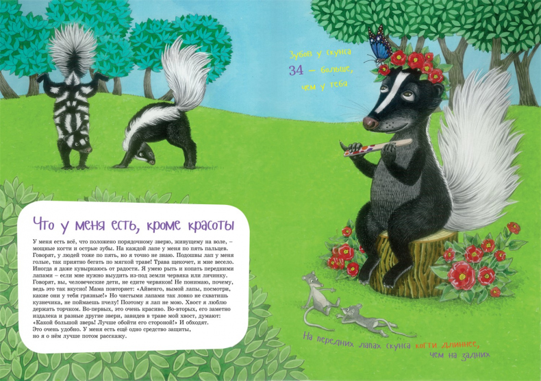 Иллюстрация к книге — Я скунс [i_005.jpg]