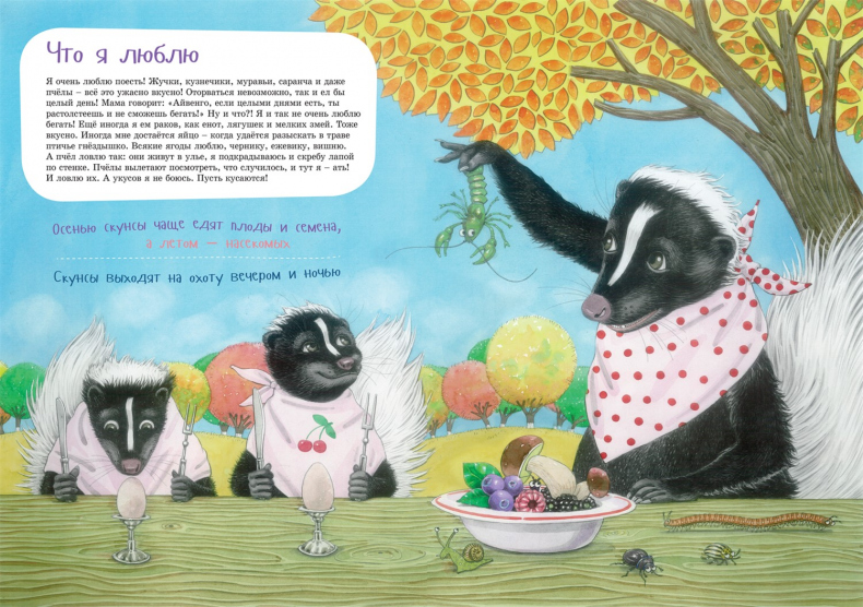 Иллюстрация к книге — Я скунс [i_009.jpg]