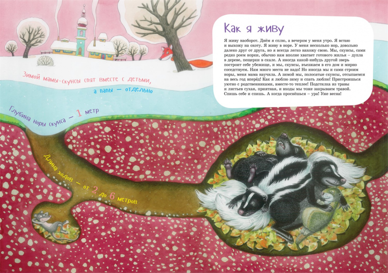 Иллюстрация к книге — Я скунс [i_010.jpg]