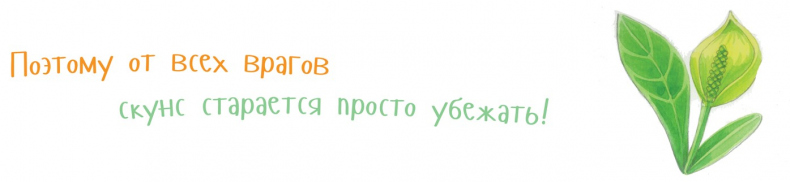 Иллюстрация к книге — Я скунс [i_018.jpg]