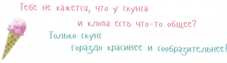 Иллюстрация к книге — Я скунс [i_025.jpg]