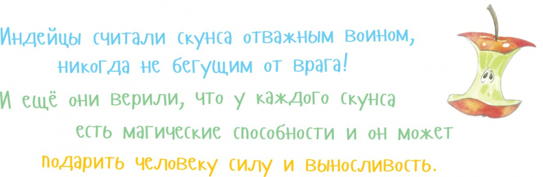 Иллюстрация к книге — Я скунс [i_029.jpg]