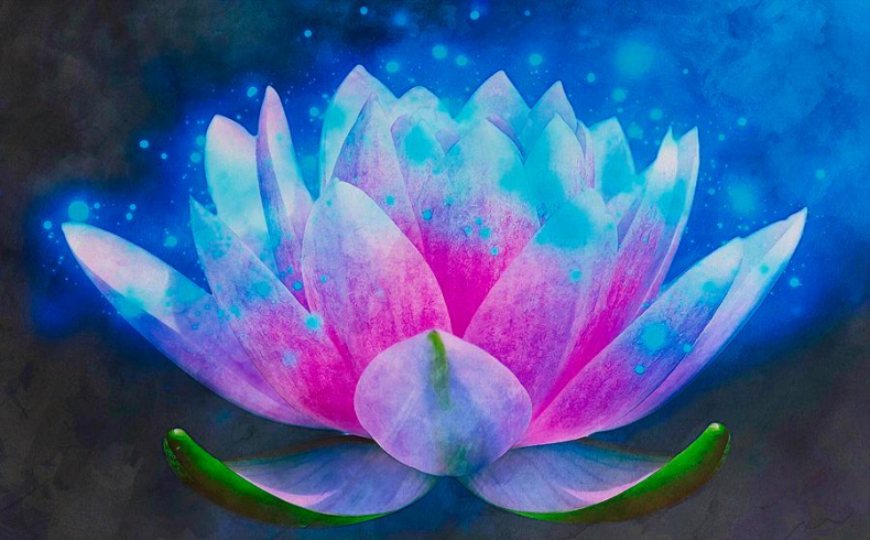 Иллюстрация к книге — Сердце дракона. Том 17 [_28962500271.jpg]