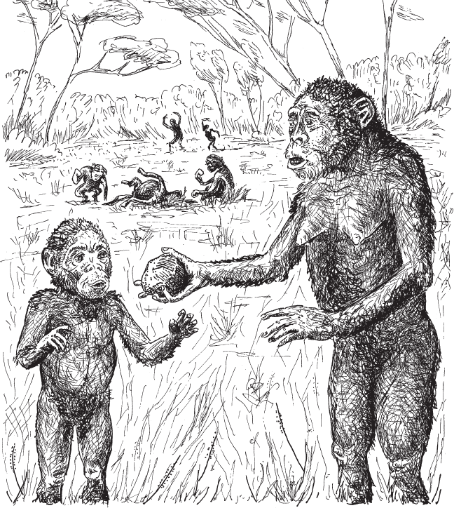 Иллюстрация к книге — Эволюция человека. Книга 3. Кости, гены и культура [i_003.jpg]