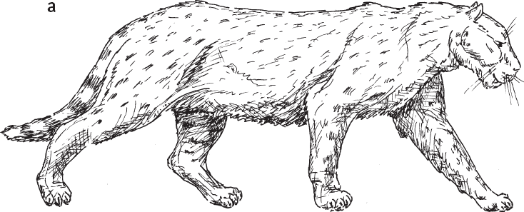 Иллюстрация к книге — Эволюция человека. Книга 3. Кости, гены и культура [i_006.jpg]