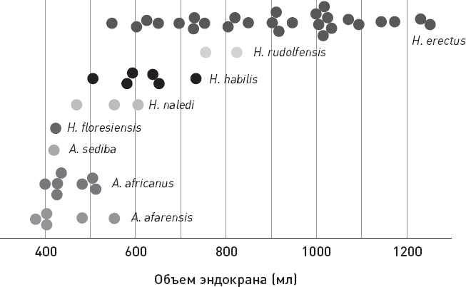 Иллюстрация к книге — Эволюция человека. Книга 3. Кости, гены и культура [i_019.jpg]