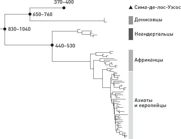 Иллюстрация к книге — Эволюция человека. Книга 3. Кости, гены и культура [i_022.jpg]