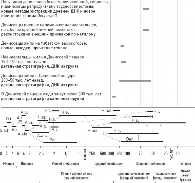 Иллюстрация к книге — Эволюция человека. Книга 3. Кости, гены и культура [i_031.jpg]