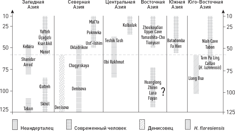 Иллюстрация к книге — Эволюция человека. Книга 3. Кости, гены и культура [i_046.jpg]