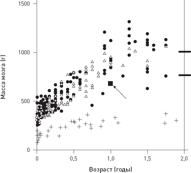 Иллюстрация к книге — Эволюция человека. Книга 3. Кости, гены и культура [i_057.jpg]