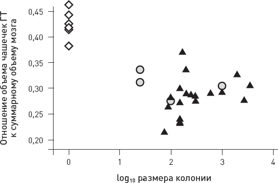 Иллюстрация к книге — Эволюция человека. Книга 3. Кости, гены и культура [i_066.jpg]