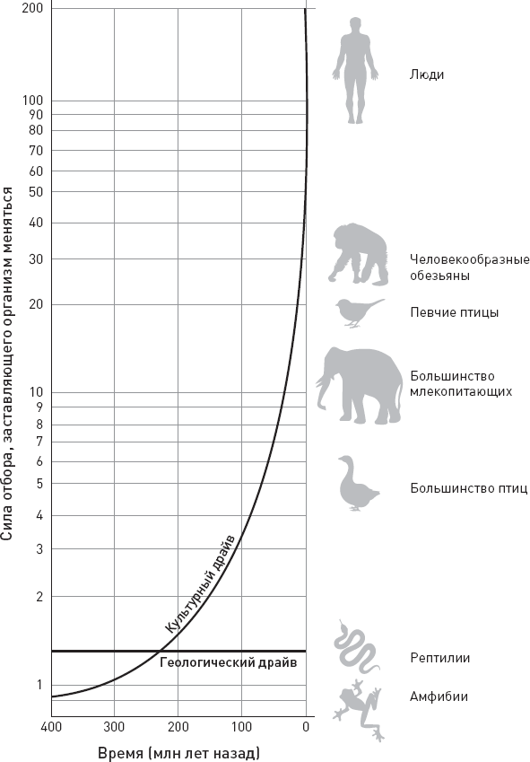 Иллюстрация к книге — Эволюция человека. Книга 3. Кости, гены и культура [i_075.jpg]