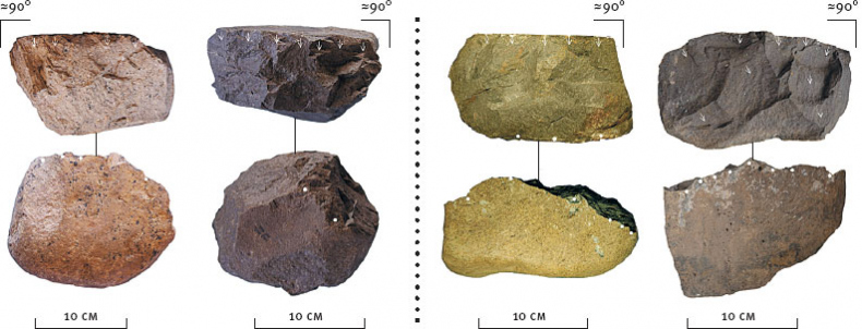 Иллюстрация к книге — Эволюция человека. Книга 3. Кости, гены и культура [i_091.jpg]