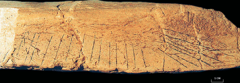 Иллюстрация к книге — Эволюция человека. Книга 3. Кости, гены и культура [i_094.jpg]