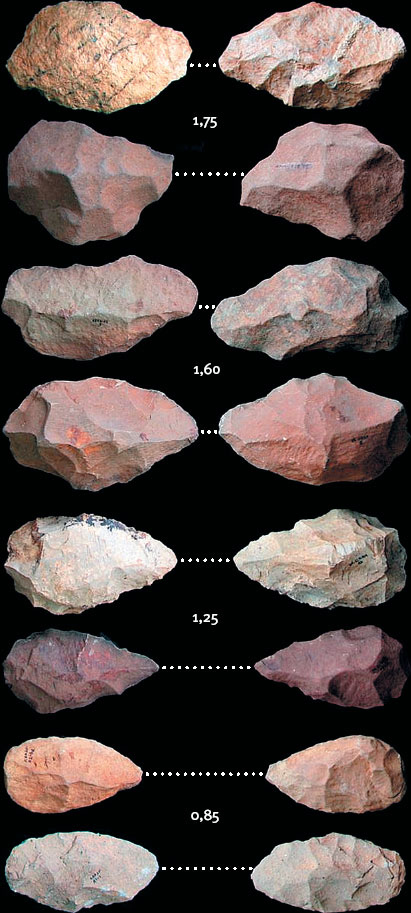 Иллюстрация к книге — Эволюция человека. Книга 3. Кости, гены и культура [i_103.jpg]