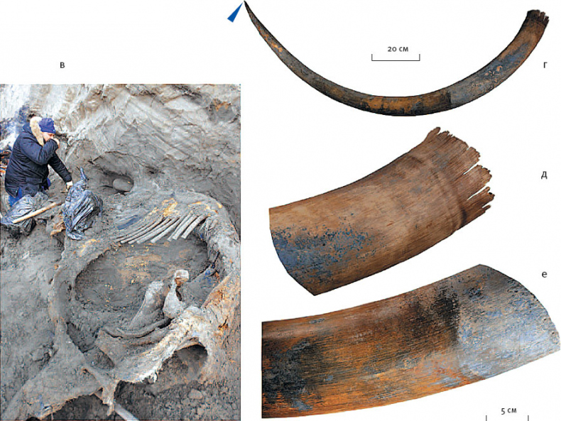 Иллюстрация к книге — Эволюция человека. Книга 3. Кости, гены и культура [i_105.jpg]